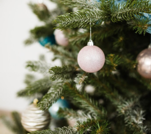 Дед Мороз и Снегурочка на дом в Москве: сценарии, реквизит и работа аниматоров